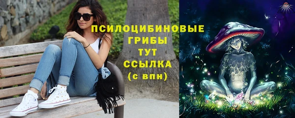 МДПВ Богородицк